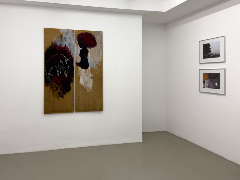 Ausstellungsansicht tranform